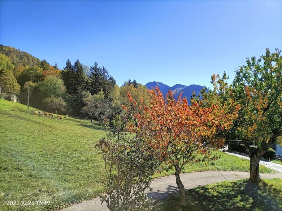 Gite Coeur De Haute-Savoie Viuz-en-Sallaz Εξωτερικό φωτογραφία